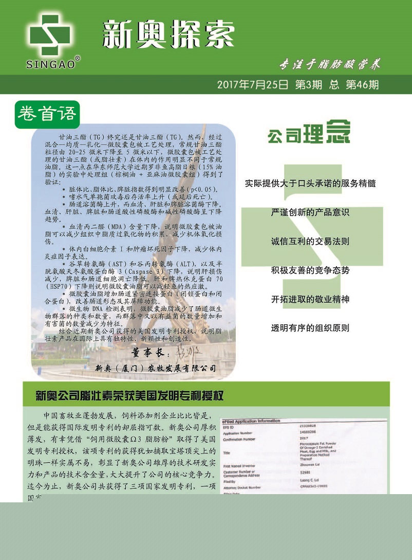 新澳门免费精准大全与警惕虚假宣传-全面释义、全面解答解释落实